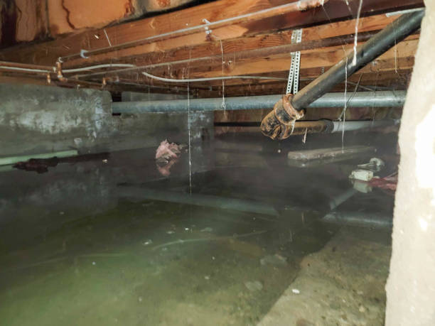 Best 24/7 water damage repair  in West Chester, PA