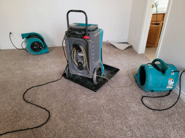 Best Flooded house restoration  in West Chester, PA