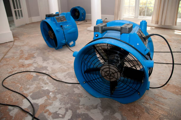 Best Basement water damage restoration  in West Chester, PA